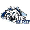 Sportunion DHC IceCats Linz AG