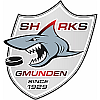 UEHV RAUCH Technology Sharks Gmunden 4